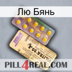 Лю Бянь new06
